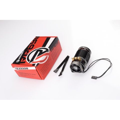 Ruddog RP691 2200KV 1:8 Sensored Competition Brushless Motor - Afbeelding 2